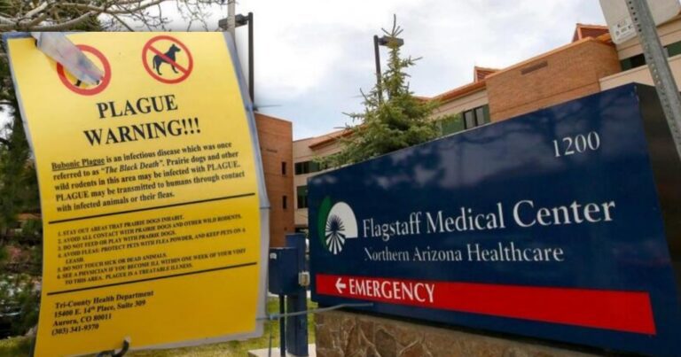 Plague Death in Arizona: A Public Health Alert That Shook the State After 2007